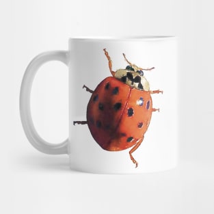 Ladybug Climbing Mug